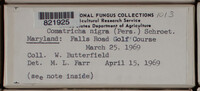 Image Associated With the Occurence